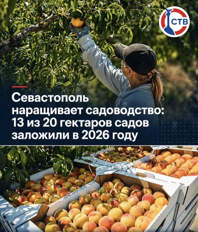 �� 10 ��� � 258 �������� ����� ����������� �����