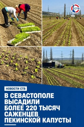 ������ ������ ������� ���������� ������� �� ���� �������� ����� � ������ ��������� ������� ��� ����� 50�70 ����