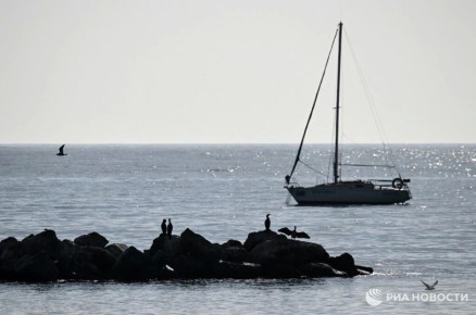 ������� ������ � ����� �� �������