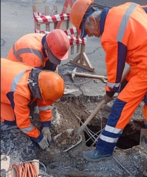 ���������: ������� �������. ��������-������������ ������� �������� ����� ���������� ������� �� ��. ��������� ���� ����� ����������