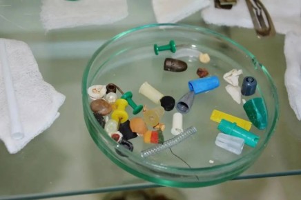 ��������������� ������� ������ ������������ ��������, ������������� ���� ��������� �������