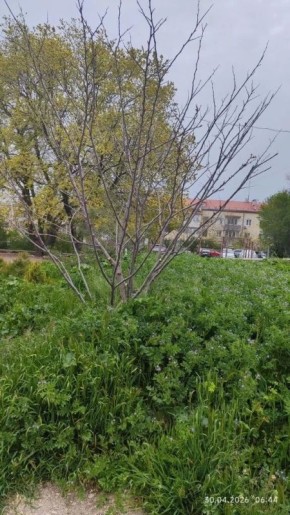 #���_�����. �� ������� ������� �����