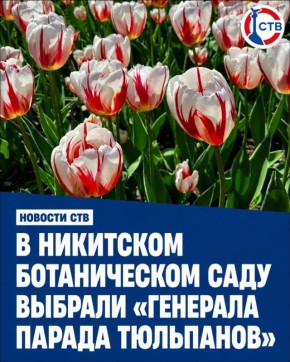 ����������� ��������� ����������� ���� ���� Happy Generation � ����� �������� � ������ ���������� ��������