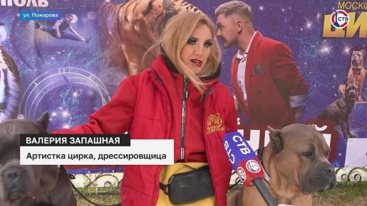 � ����������� ������� ���� �������� ���������