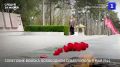 ���� � ������: ����������� ������� ����������� � ���� ������� ������������� �����