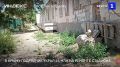 � �������� ����������� ��������� ����������� ���������� � ������������� ��� ���������� �������� ��������
