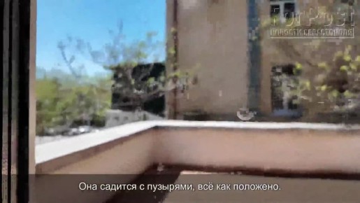 ������������ ���, ����� ������� � �����, ��� ����� ���� �����