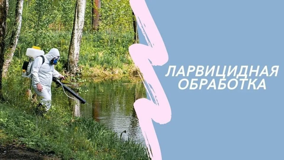 "Максимову дачу" обработают от личинок комаров