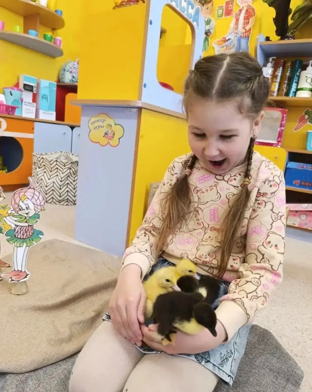 Ничего милее вы сегодня точно не увидите Ничего милее вы сегодня точно не увидите
