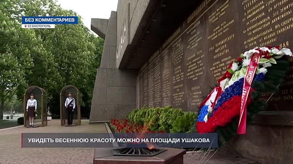 Белые и розовые цветы каштана распустились в центре Севастополя