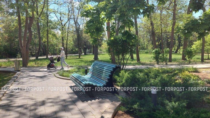 Полным ходом идёт реконструкция Сакского курортного парка, заложенного на западе Крыма ещё в 1891 году Полным ходом идёт реконструкция Сакского курортного парка, заложенного на западе Крыма ещё в 1891 году