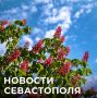 Михаил Развожаев: Коротко о главном:. Купальный сезон