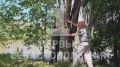 В Севастополе готовят синичники для следующего года