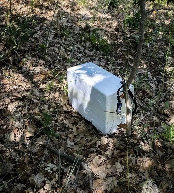В Севастополе после атаки ВСУ нашли контейнер со взрывчаткой