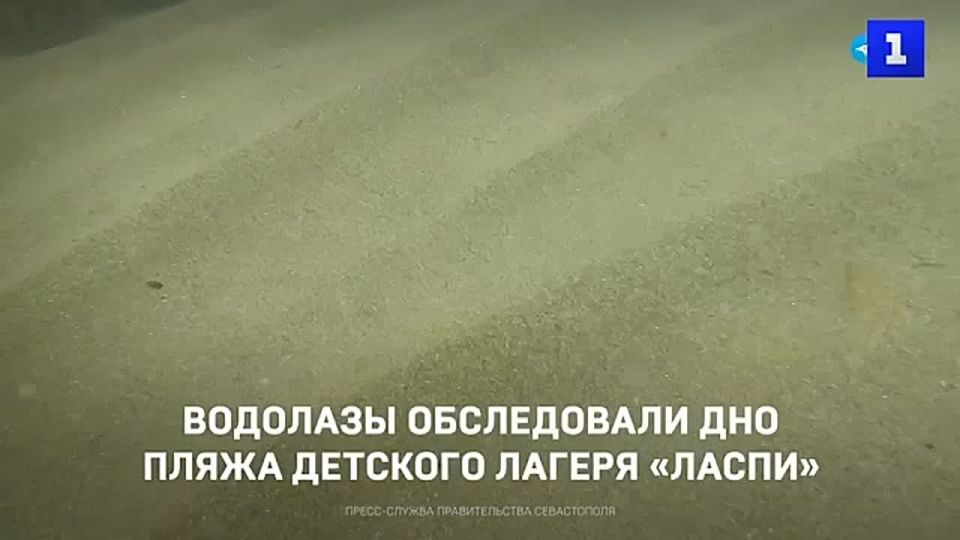 В преддверии курортного сезона севастопольские водолазы очистили дно и береговую линию пляжа детского оздоровительного лагеря «Ласпи»