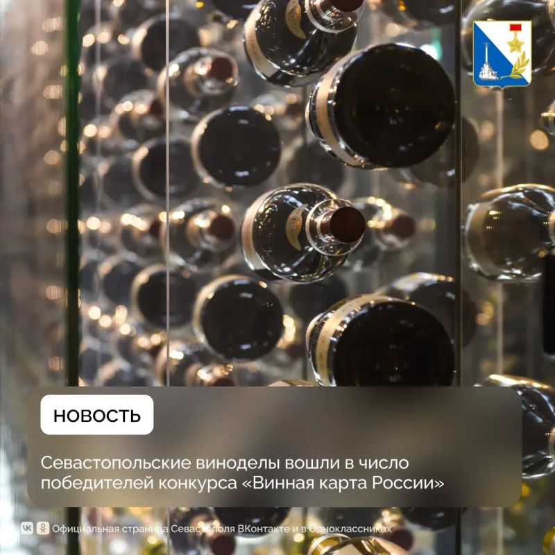 Севастопольские вина вошли в топ конкурса «Винная карта России – 2026»