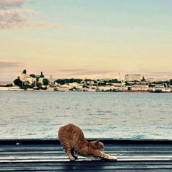 Утро начинай с зарядки!. Фото 1 — Площадь Нахимова в дни спартакиады Утро начинай с зарядки!. Фото 1 — Площадь Нахимова в дни спартакиады