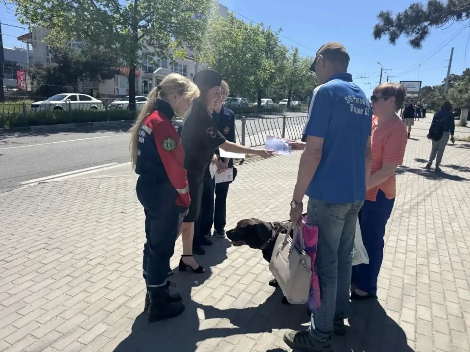 В Севастополе автоинспекторы и представители Всероссийского студенческого корпуса спасателей напомнили взрослым и юным пешеходам о важности соблюдения ПДД В Севастополе автоинспекторы и представители Всероссийского студенческого корпуса спасателей напомнили взрослым и юным пешеходам о важности соблюдения ПДД