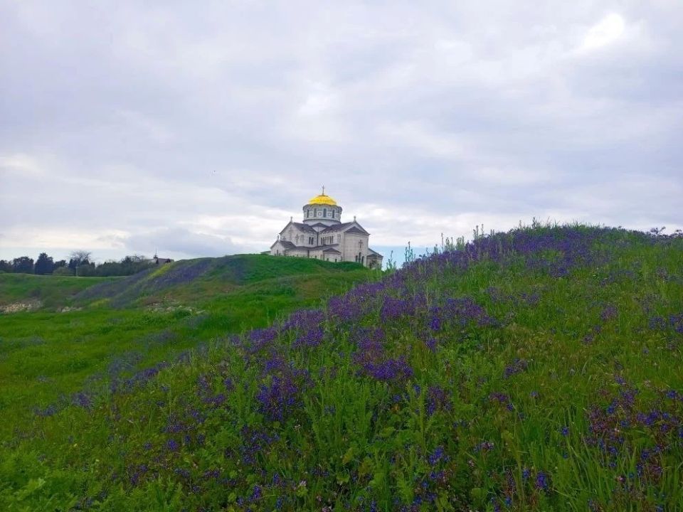 Первый день лета — время вспомнить, какими прекрасными были весенние месяцы Первый день лета — время вспомнить, какими прекрасными были весенние месяцы