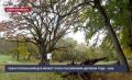 ��������������� 570-������ ���������� ��� ������� �� ������ ����������� ������ ���� � 2026�