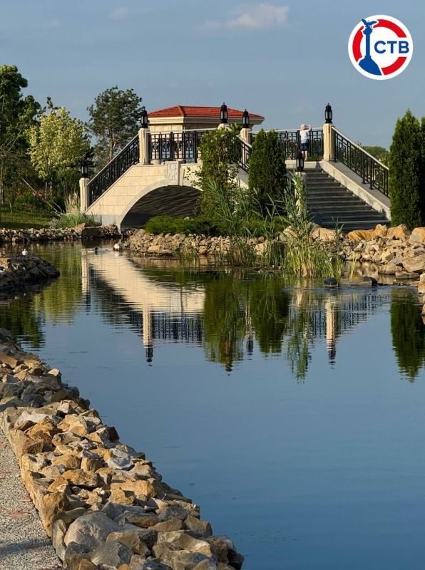 Репортаж с места событий, который мы действительно заслужили Репортаж с места событий, который мы действительно заслужили