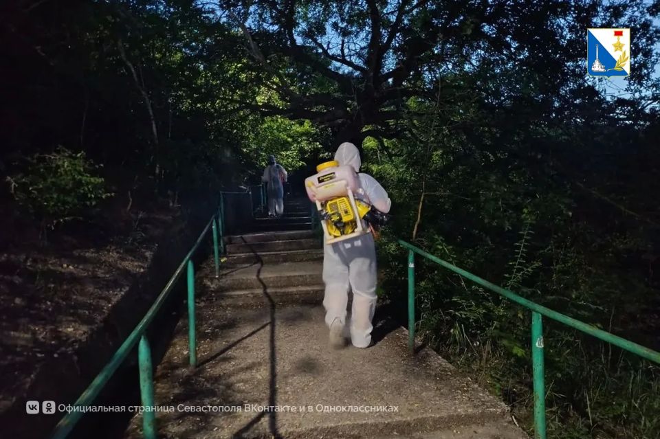 На заповедных территориях Севастополя обработали четыре гектара от насекомых-вредителей На заповедных территориях Севастополя обработали четыре гектара от насекомых-вредителей