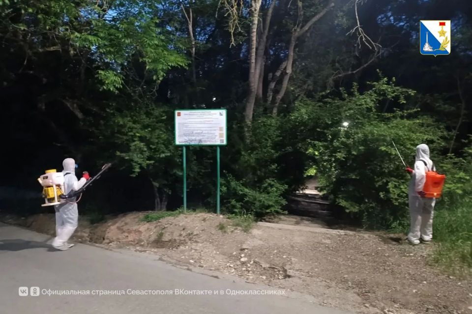 На заповедных территориях Севастополя обработали четыре гектара от насекомых-вредителей