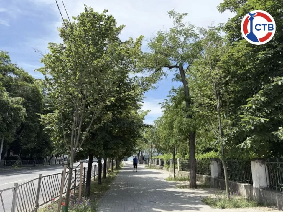 На улице Гоголя зацвели липы На улице Гоголя зацвели липы