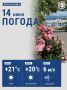 Сегодня температура воздуха в городе поднимется до +21