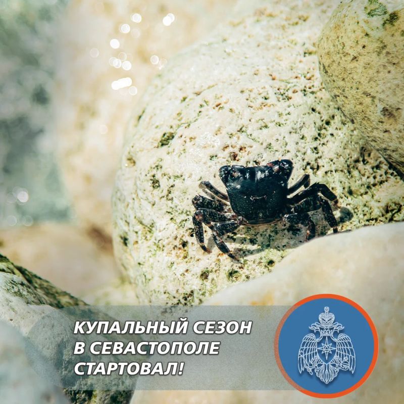 Купальный сезон в Севастополе официально стартовал сегодня, 15 июня