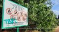 Севастопольцы отстояли рощу реликтовой фисташки на Омеге в Верховном суде