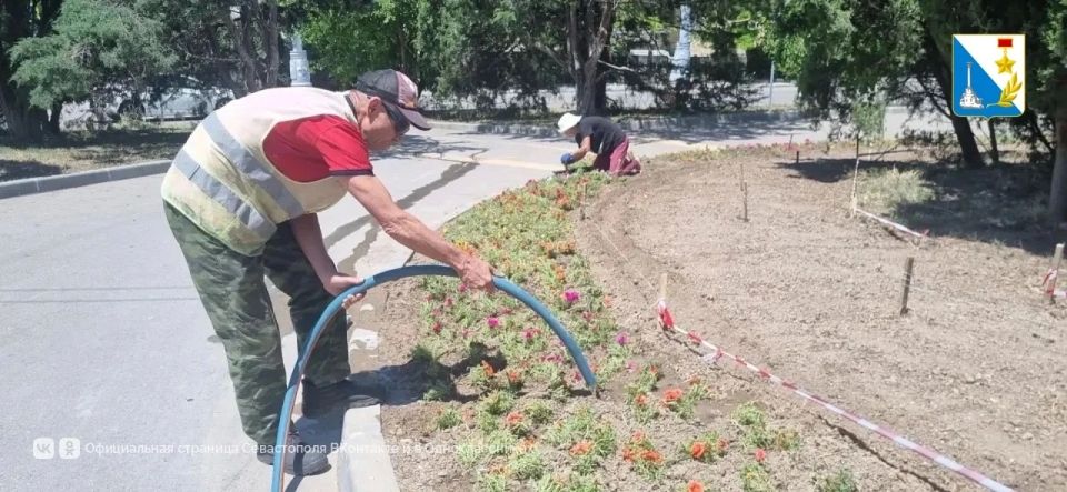 На троллейбусном кольце в Нахимовском районе высадили более четырёх тысяч цветов — будет красиво до самой осени На троллейбусном кольце в Нахимовском районе высадили более четырёх тысяч цветов — будет красиво до самой осени