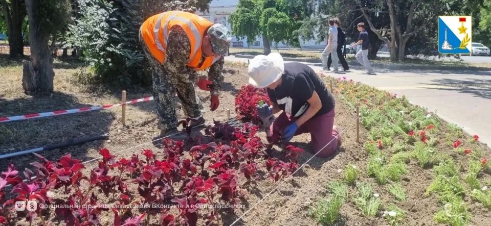 На троллейбусном кольце в Нахимовском районе высадили более четырёх тысяч цветов — будет красиво до самой осени На троллейбусном кольце в Нахимовском районе высадили более четырёх тысяч цветов — будет красиво до самой осени