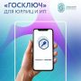 Цифровая трансформация: как севастопольцы экономят время с приложением «Госключ»