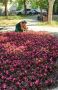 ����������� ��� ������ � ������� ������� ������ �� ���������� � ����� ������� �� ������ �������� �������� ���������, 59