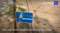 В детсаду Севастополя вылупились птенцы чайки