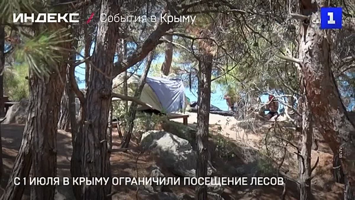 С 1 июля в Крыму введено ограничение на посещение лесов