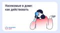 Борьба с насекомыми в многоквартирном доме