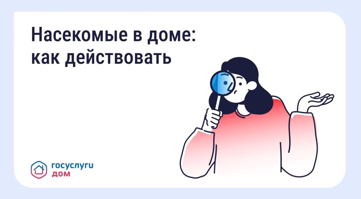 Борьба с насекомыми в многоквартирном доме