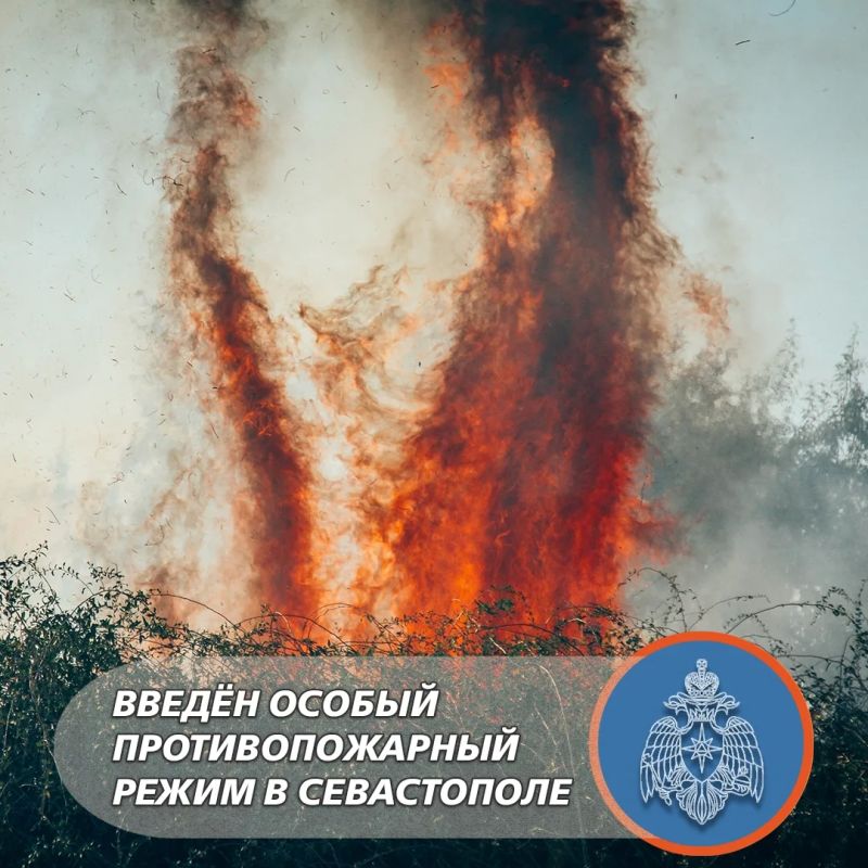 Особый противопожарный режим введён в Севастополе сегодня, 1 июля!