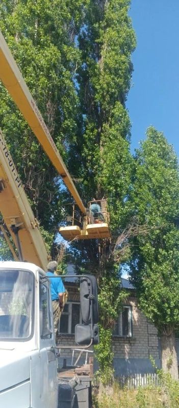 Специалисты МБУ Центр "Благоустройство" выполнили срез трёх аварийных деревьев в переулке Амбулаторном Специалисты МБУ Центр "Благоустройство" выполнили срез трёх аварийных деревьев в переулке Амбулаторном