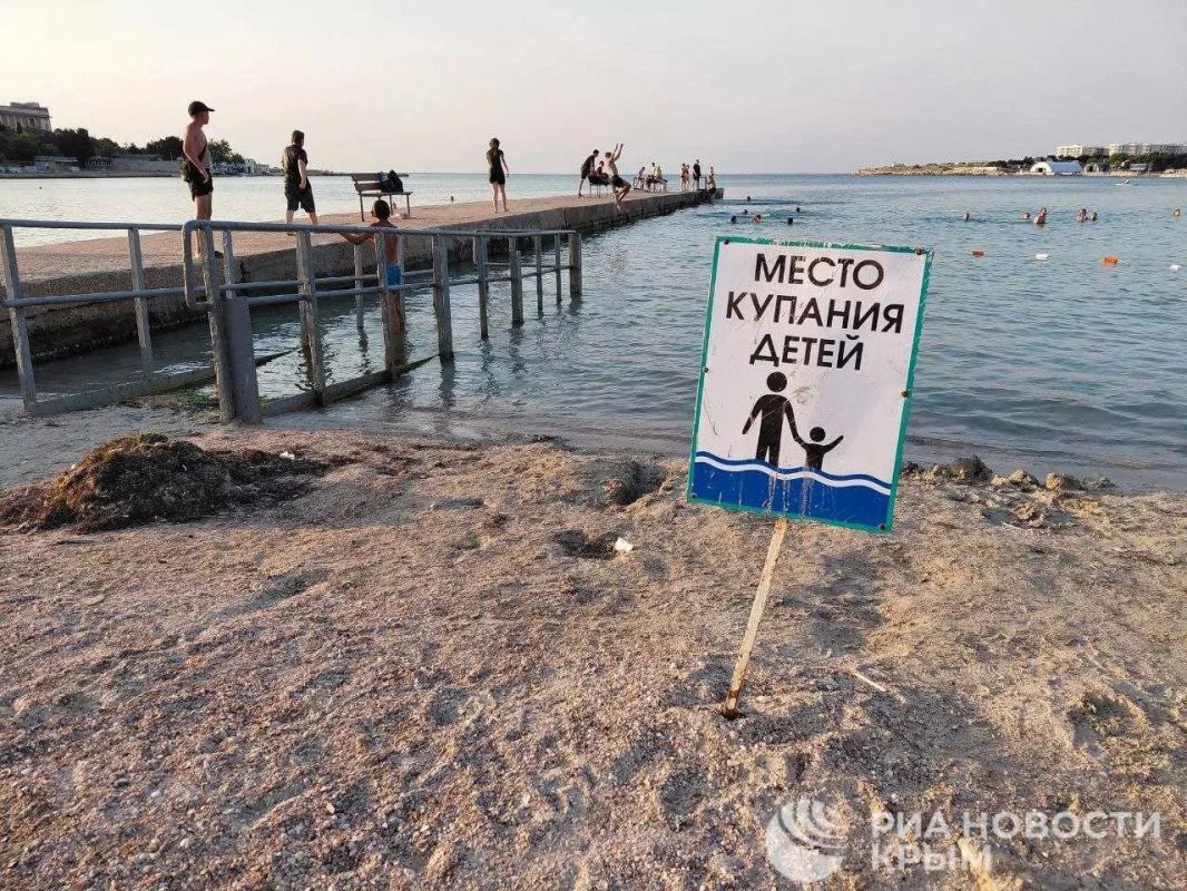 Место встречи – море: как проходит купальный сезон в Севастополе? Место встречи – море: как проходит купальный сезон в Севастополе?