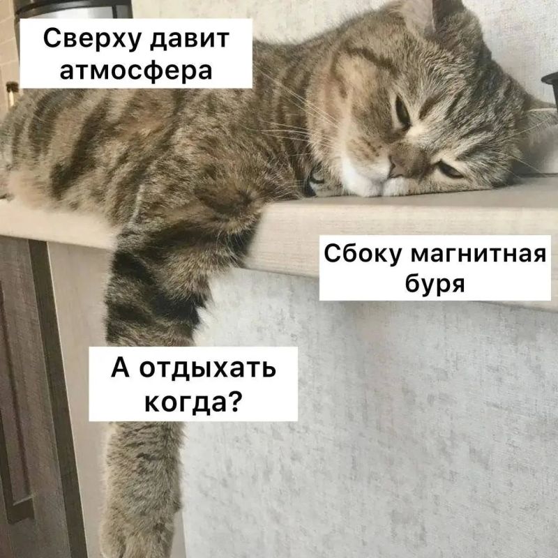 На Солнце выросло гигантское пятно размером в 9,4 млрд кв. км — Землю ждут магнитные бури