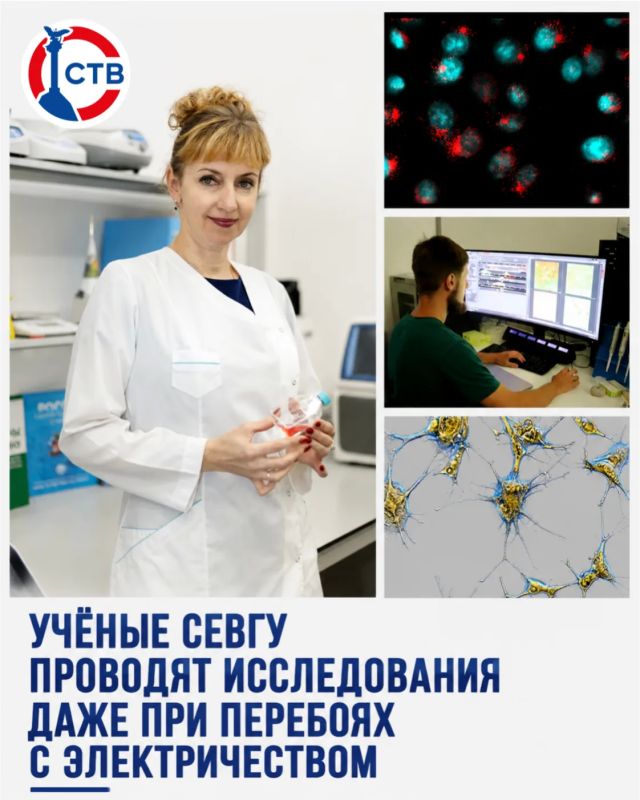 Исследователи СевГУ провели испытания молекул, которые помогают находить и уничтожать раковые клетки