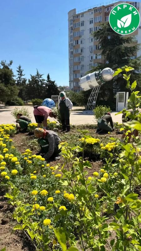 #Что за растение?. Желтые шары уже вовсю радуют глаз в сквере «Покорителям космоса» #Что за растение?. Желтые шары уже вовсю радуют глаз в сквере «Покорителям космоса»