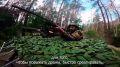 Морские пехотинцы 810-й бригады совершенствуют боевую подготовку