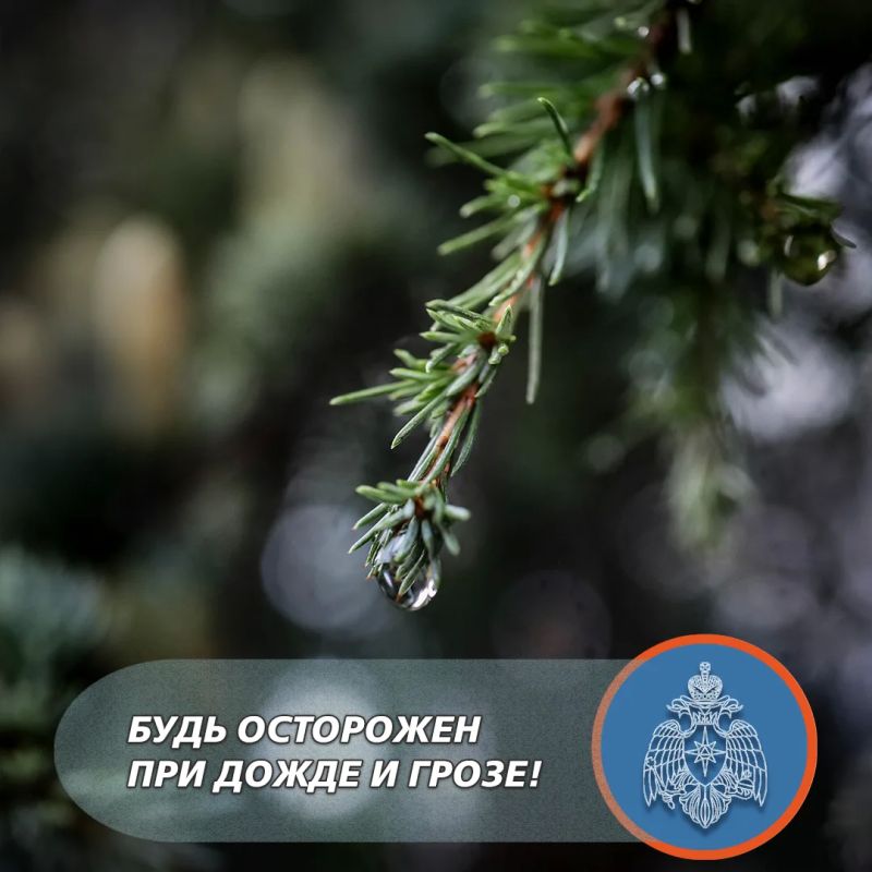 Сильный дождь ожидается в Севастополе!