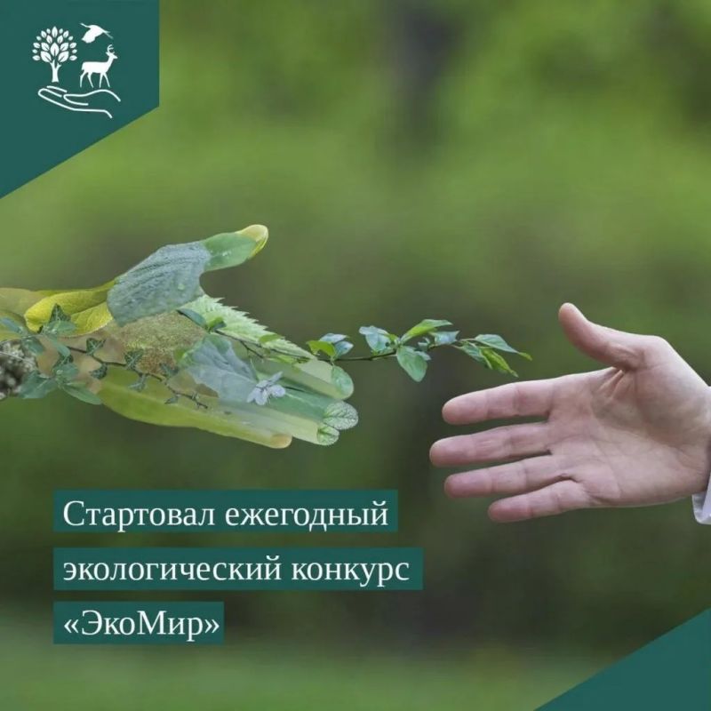 Российская академия естественных наук (РАЕН) объявила о начале ежегодного Международного экологического конкурса «ЭкоМир-2026»