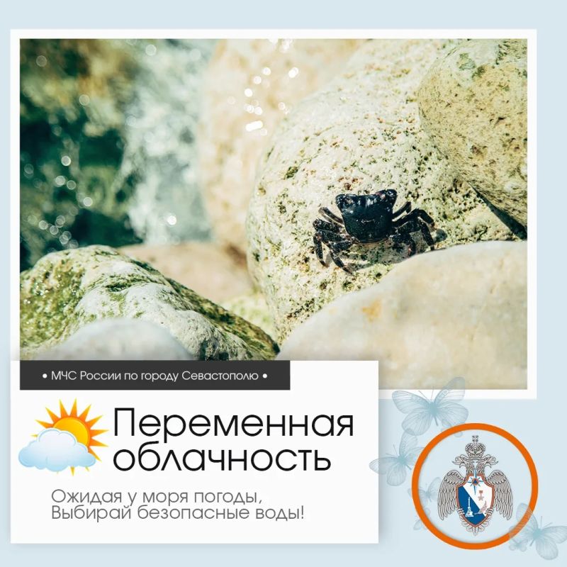 Здравствуй, Севастополь!. По данным гидрометцентра, 11 июля в Севастополе будет переменная облачность