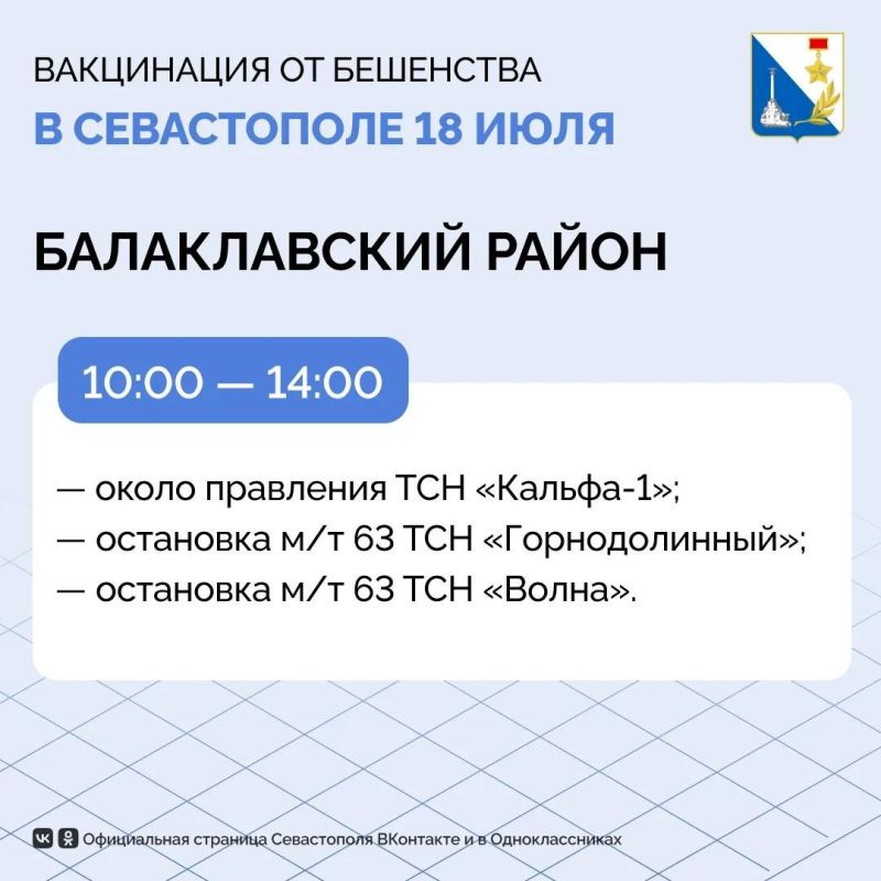 Ещё более 200 домашних животных защитили от бешенства ветеринары Севастополя Ещё более 200 домашних животных защитили от бешенства ветеринары Севастополя